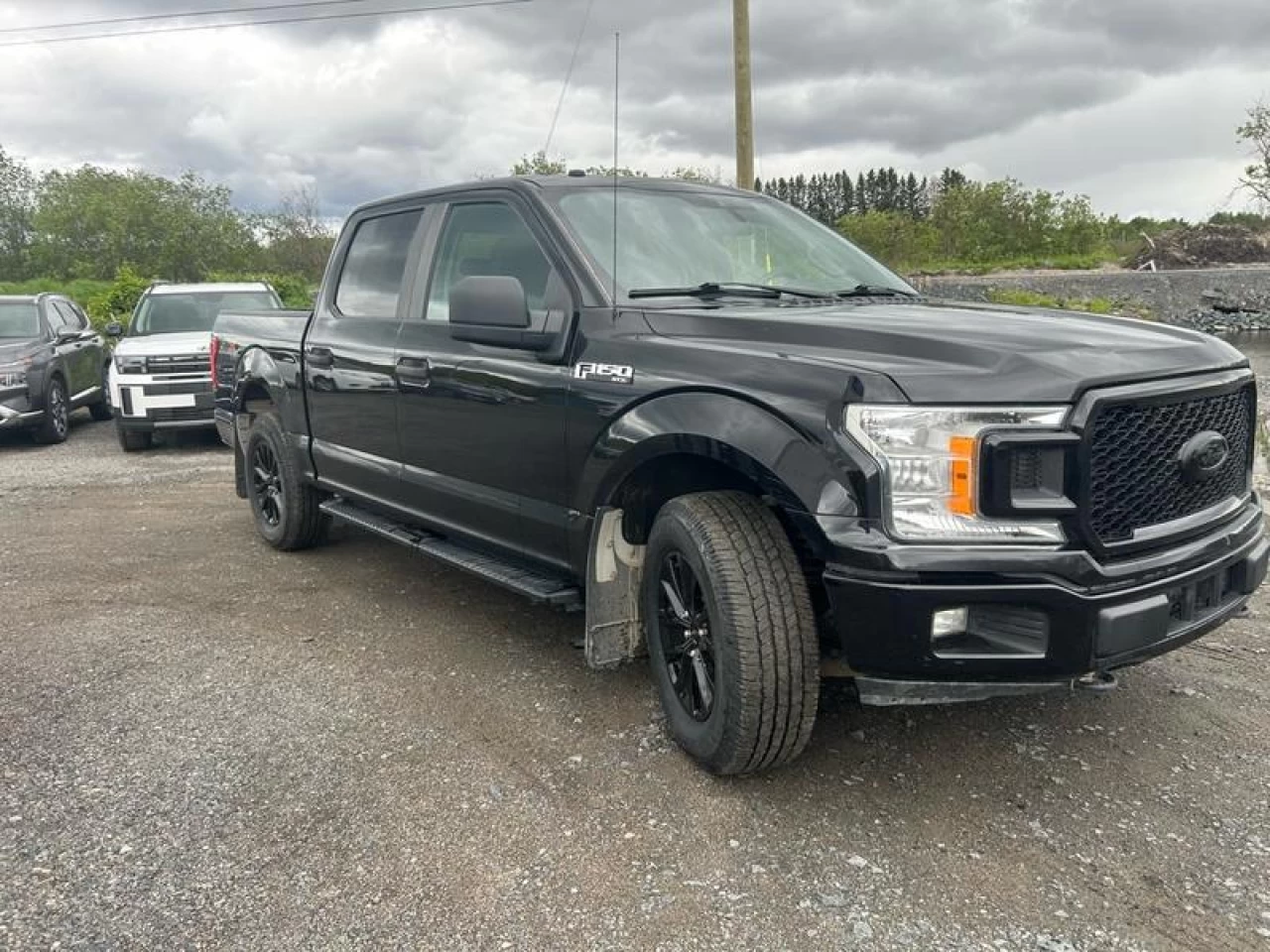 2019 Ford F-150 XL Main Image