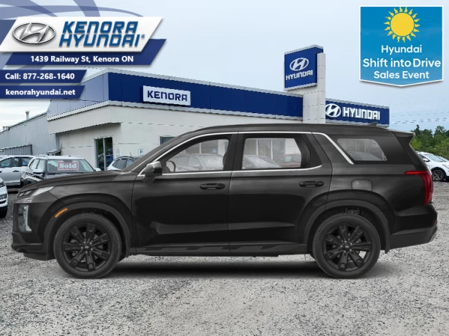 Hyundai Palisade - 2024